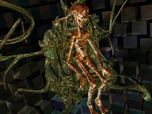 Environmental Mapped BumpMapping